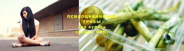 гашик Киреевск