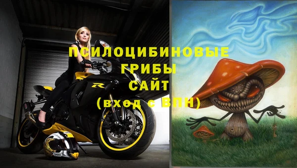 гашик Киреевск